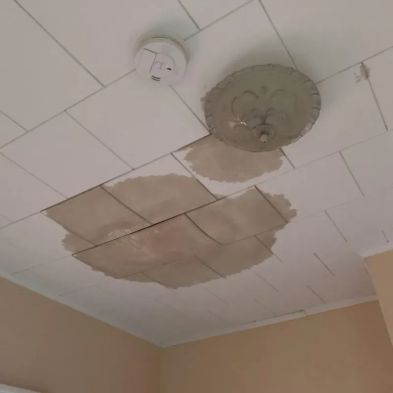 Ceiling Water Damage Repair in Parkston, SD