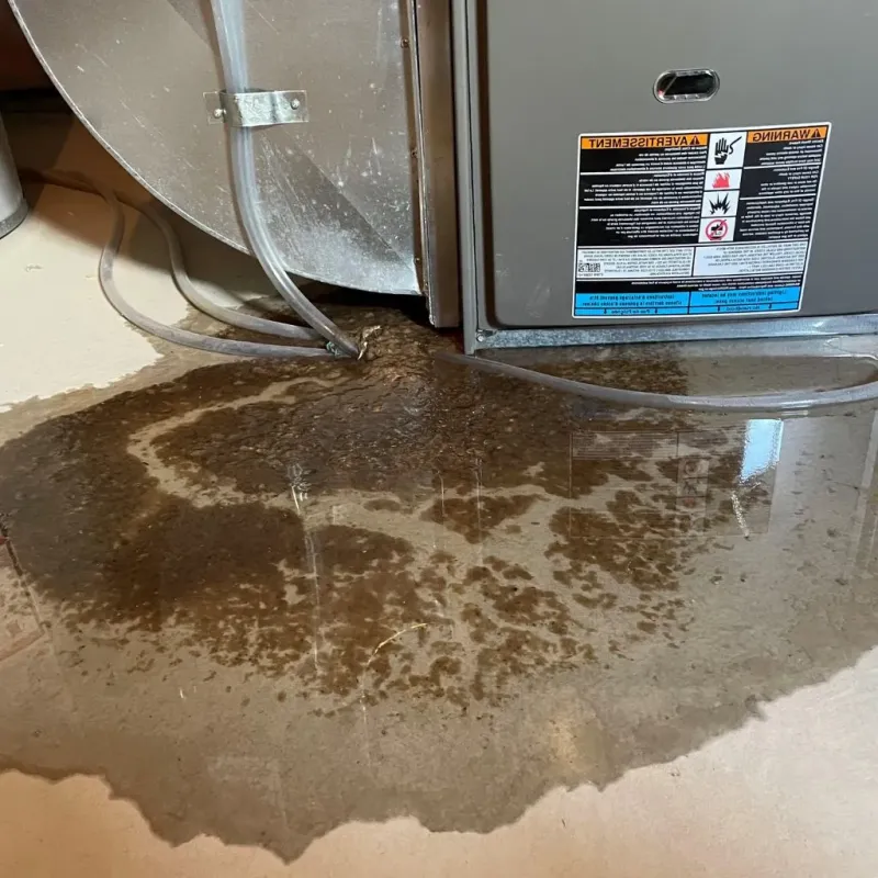 Pipe Burst and Leak Restoration in Parkston, SD