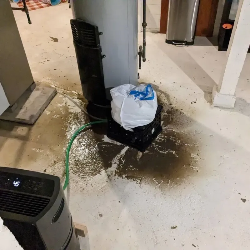 Sewage Backup Cleanup Service in Parkston, SD